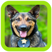 HD Dog Wallpaper icon