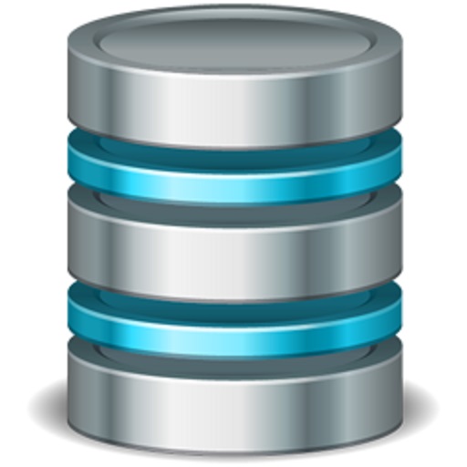 Data Server icon