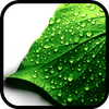Water Drop Live Wallpaper icon