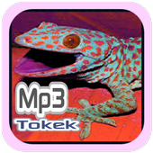 Suara Tokek icon
