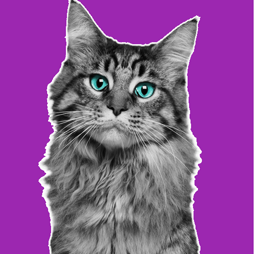 Amar Cat icon