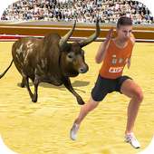 Angry Bull Attack Fight