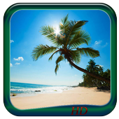 Sandy Beach Wallpaper HD أيقونة