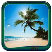 Sandy Beach Wallpaper HD on 9Apps