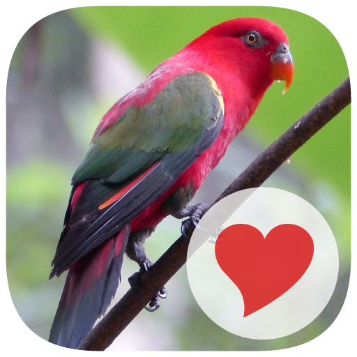 3 Pics 1 Key Word icon