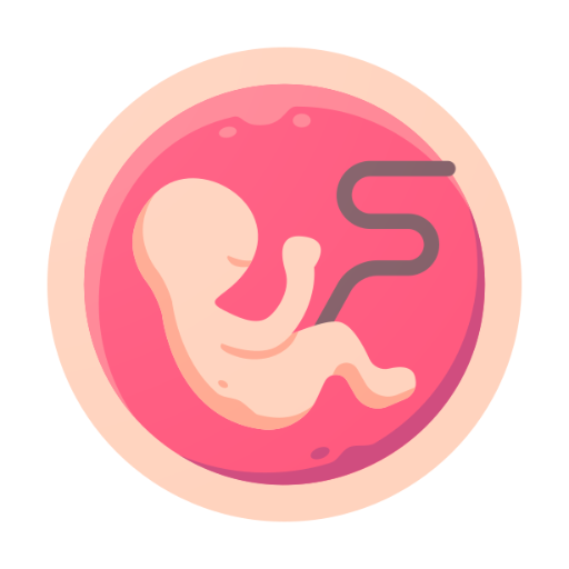 Pregnancy Symptoms - Pregnancy calculator icon