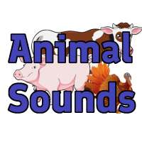 Animal Sounds