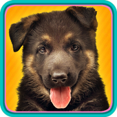 Dog Memory Game icon
