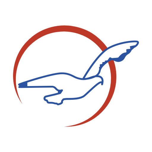 Air Peace icon