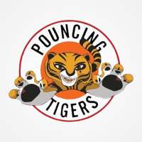 Pouncing Tigers on 9Apps