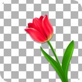 Erase Background: Bg Changer icon