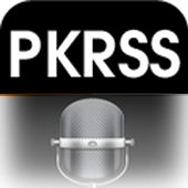 voice speak king icon