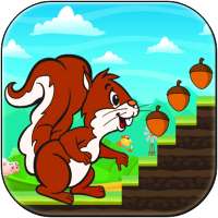 Squirrel Run