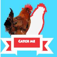 Catching Game - Game Tangkap Ayam 2020