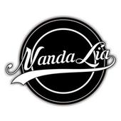 DJ Nanda Lia Offline icon