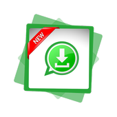 WhatStatus icon