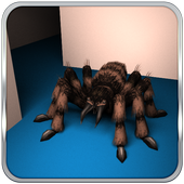 Spider Maze Tactical Action icon
