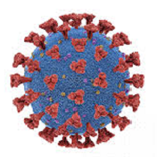 Corona Mukt Himachal icon