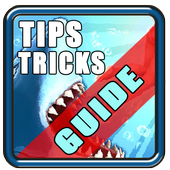 Guide hungry shark evolution icon
