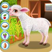 Baby Sheep Care on 9Apps