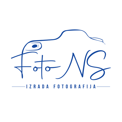 Foto NS icon