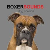 Boxer icon