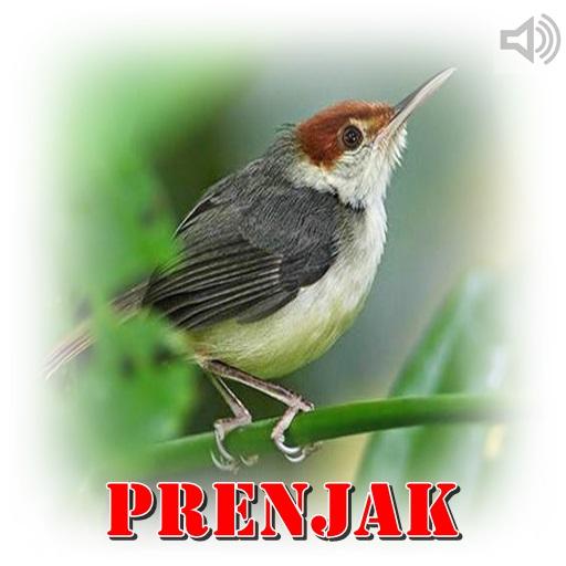 Prenjak Master Mp3 icon