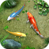 Water Koi Fish Pond LWP icon