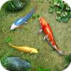 Water Koi Fish Pond LWP