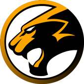 Leopard Browser on 9Apps