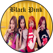 Black Pink - Best Mp3 Offline icon