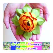 Origami Flowers Instruction on 9Apps