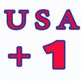 رقم امركي أيقونة