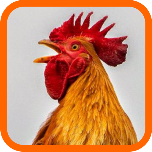 Ayam Ketawa icon