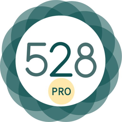 528 Player Pro icon