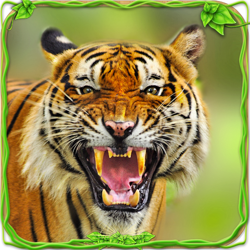 उग्र बाघ सिम्युलेटर 🐅 आइकन