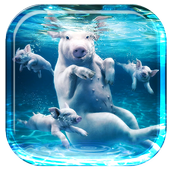 Pig Tiger Shark Turtle icon