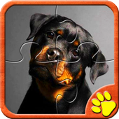 Dogs jigsaw Puzzles Rottweiler icon