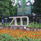 Smithsonian National Zoological Park Map 2019 icon