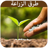 طرق زراعة الخضراوات والفواكه أيقونة