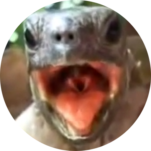 Aaah! Funny Turtle Sounds and Piano icon