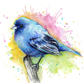 ikon Water Color Paint - Pencil Sketch Art