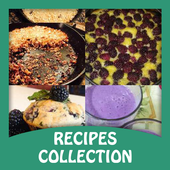 Blackberry Recipes icon