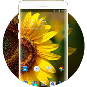 Theme for ZTE Grand X Quad Lite HD icon