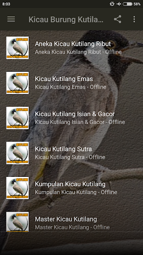 Suara Burung Kutilang Ribut скриншот 2