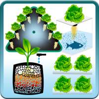 Hydroponic Tech - Técnicas Hidropónicas