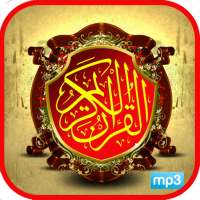 Quran Mp3: 100 Reciter