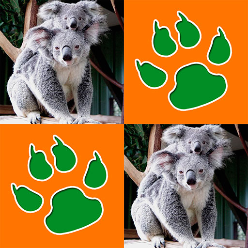 Animals Memory Game icon