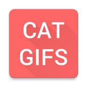 Cat GIFs