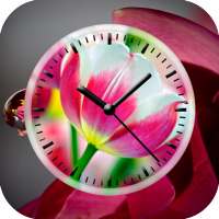 Tulips Clock Live Wallpaper on 9Apps